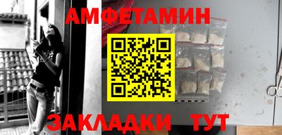 крисы Можга
