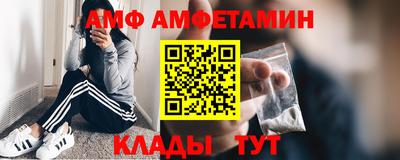 крисы Можга