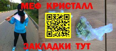 крисы Можга